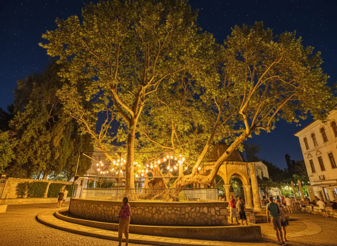 Platan Hipokratesa na Kos nocą